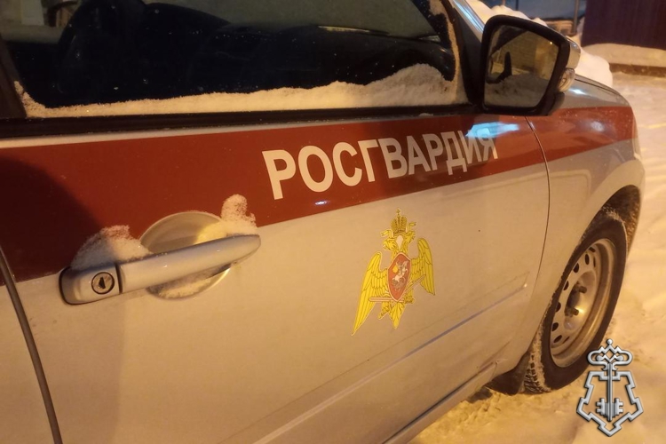 В Управлении Росгвардии по Удмуртской Республике продолжается прием на службу во вневедомственную охрану (видео)