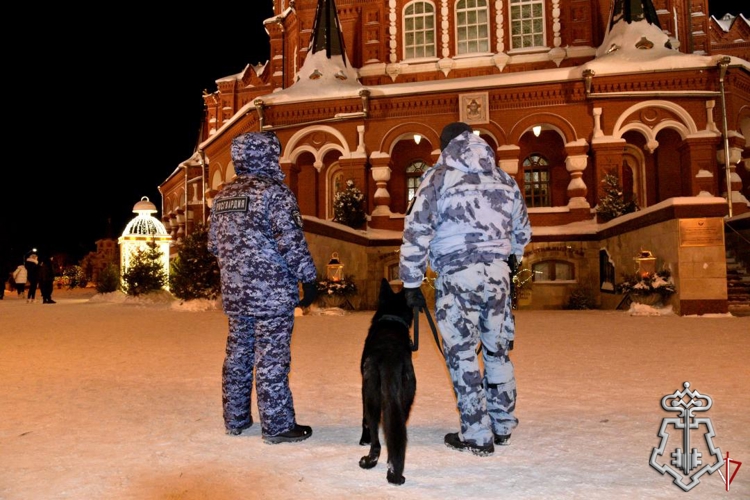 В Удмуртии росгвардейцы обеспечили правопорядок в период празднования Рождества Христова