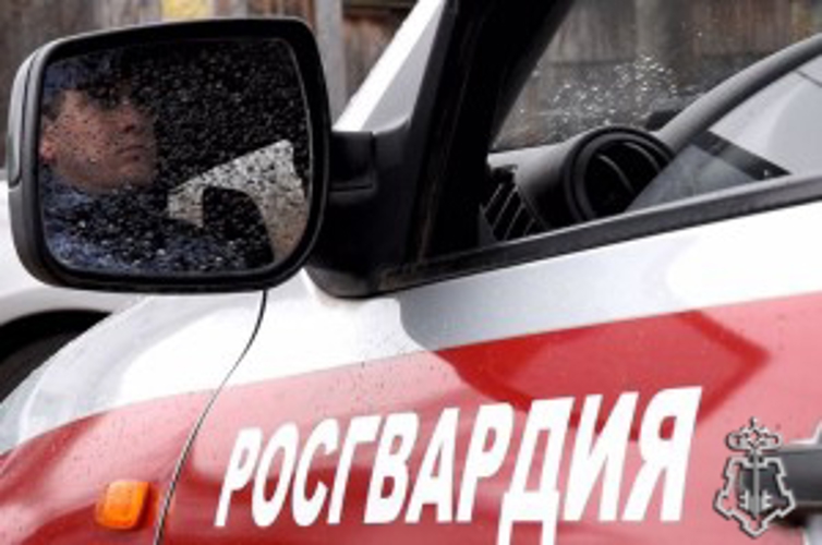 Жительница Ижевска задержана росгвардейцами по подозрению в краже из магазина на сумму более 19 000 рублей