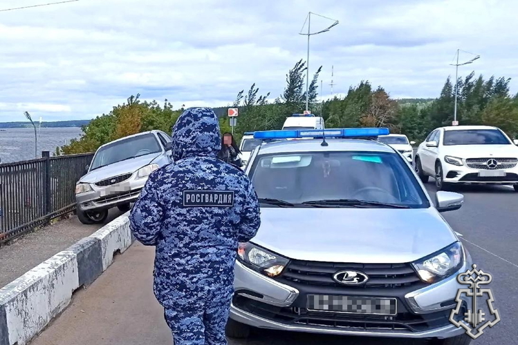 В Ижевске росгвардейцами задержан водитель, сбивший двух пешеходов